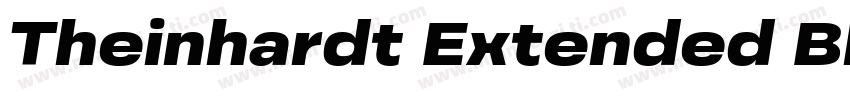 Theinhardt Extended Black Italic字体转换